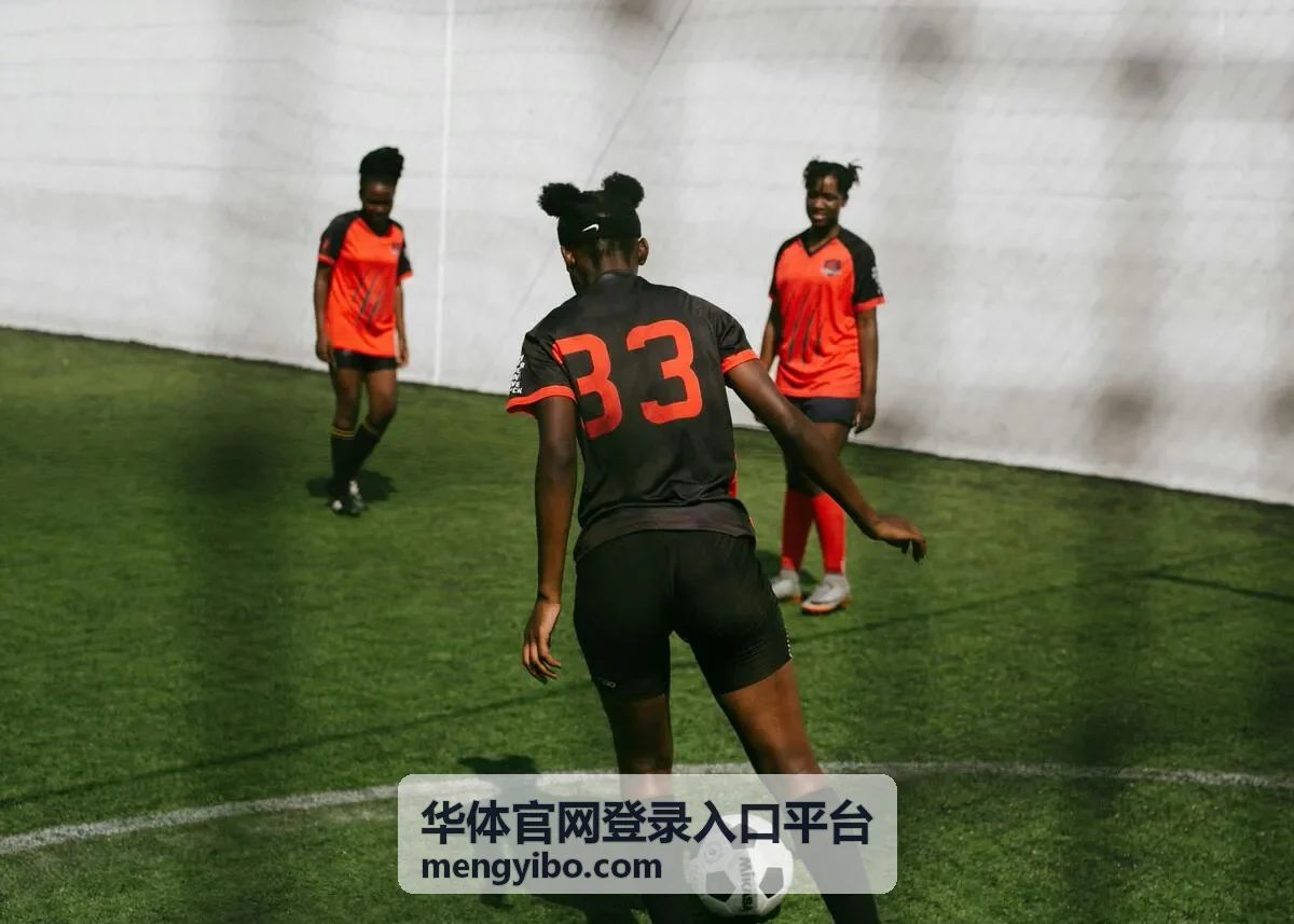 华体平台登录入口每日签到权益图示