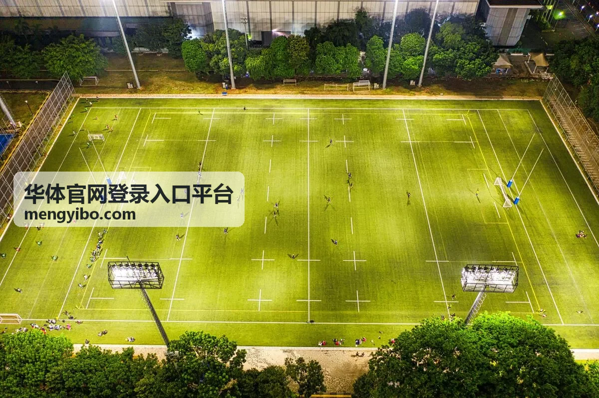 华体官网登录入口平台周末加倍权益图示