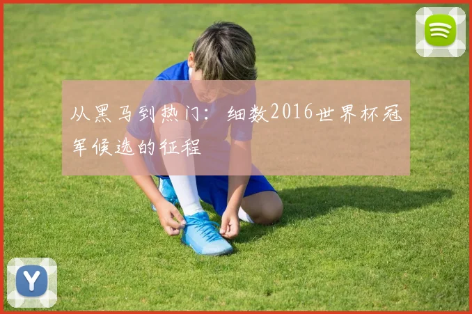 从黑马到热门：细数2016世界杯冠军候选的征程