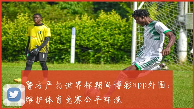 警方严打世界杯期间博彩app外围，维护体育竞赛公平环境