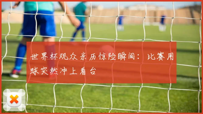 世界杯观众亲历惊险瞬间：比赛用球突然冲上看台